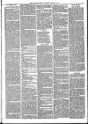 Mid Sussex Times Wednesday 09 March 1881 Page 7