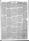 Mid Sussex Times Wednesday 23 March 1881 Page 5