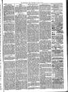 Mid Sussex Times Wednesday 13 April 1881 Page 3