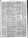Mid Sussex Times Wednesday 13 April 1881 Page 5