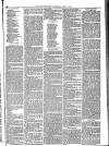 Mid Sussex Times Wednesday 13 April 1881 Page 7