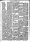 Mid Sussex Times Wednesday 20 April 1881 Page 7