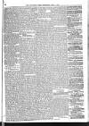 Mid Sussex Times Wednesday 04 May 1881 Page 5
