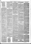 Mid Sussex Times Wednesday 11 May 1881 Page 7