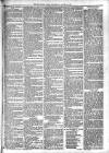 Mid Sussex Times Wednesday 31 August 1881 Page 7