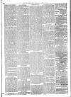 Mid Sussex Times Wednesday 19 October 1881 Page 3