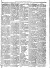 Mid Sussex Times Wednesday 19 October 1881 Page 7