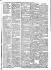 Mid Sussex Times Wednesday 26 October 1881 Page 7