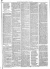 Mid Sussex Times Tuesday 13 June 1882 Page 7