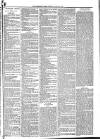 Mid Sussex Times Tuesday 06 March 1883 Page 7