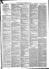 Mid Sussex Times Tuesday 15 May 1883 Page 7