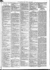 Mid Sussex Times Tuesday 05 June 1883 Page 7