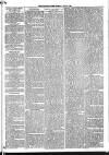 Mid Sussex Times Tuesday 19 June 1883 Page 3
