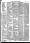 Mid Sussex Times Tuesday 26 June 1883 Page 7