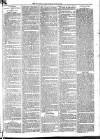 Mid Sussex Times Tuesday 24 July 1883 Page 7