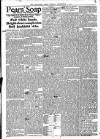 Mid Sussex Times Tuesday 02 September 1884 Page 8