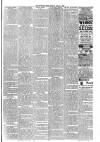 Mid Sussex Times Tuesday 06 March 1888 Page 3