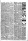 Mid Sussex Times Tuesday 04 March 1890 Page 3