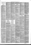 Mid Sussex Times Tuesday 01 April 1890 Page 7