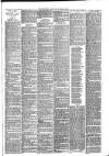 Mid Sussex Times Tuesday 13 May 1890 Page 7