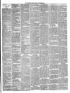 Mid Sussex Times Tuesday 20 November 1894 Page 3