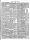 Mid Sussex Times Tuesday 18 June 1895 Page 7