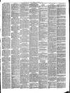 Mid Sussex Times Tuesday 17 January 1899 Page 3