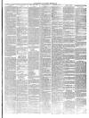 Mid Sussex Times Tuesday 13 March 1900 Page 3