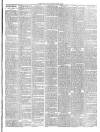 Mid Sussex Times Tuesday 13 March 1900 Page 7