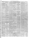 Mid Sussex Times Tuesday 20 March 1900 Page 7