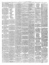 Mid Sussex Times Tuesday 29 May 1900 Page 3