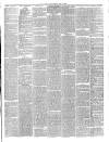 Mid Sussex Times Tuesday 10 July 1900 Page 3