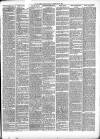 Mid Sussex Times Tuesday 26 February 1901 Page 3