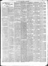 Mid Sussex Times Tuesday 21 March 1905 Page 3