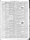 Mid Sussex Times Tuesday 09 February 1909 Page 3