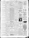 Mid Sussex Times Tuesday 18 November 1919 Page 7