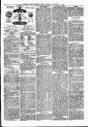 Hendon & Finchley Times Saturday 31 January 1880 Page 3