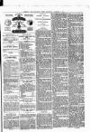 Hendon & Finchley Times Saturday 09 October 1880 Page 3