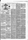 Hendon & Finchley Times Saturday 06 November 1880 Page 3