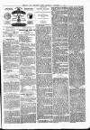 Hendon & Finchley Times Saturday 13 November 1880 Page 3