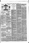 Hendon & Finchley Times Saturday 20 November 1880 Page 3