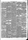 Ludlow Advertiser Saturday 13 November 1869 Page 5