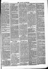 Ludlow Advertiser Saturday 08 November 1884 Page 3