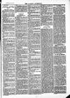 Ludlow Advertiser Saturday 22 November 1884 Page 3