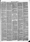 Ludlow Advertiser Saturday 22 November 1884 Page 7