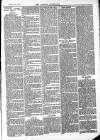 Ludlow Advertiser Saturday 29 November 1884 Page 7