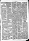 Ludlow Advertiser Saturday 13 December 1884 Page 3