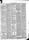 Ludlow Advertiser Saturday 27 December 1884 Page 7