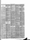 Ludlow Advertiser Saturday 11 January 1890 Page 7
