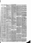 Ludlow Advertiser Saturday 15 February 1890 Page 3
